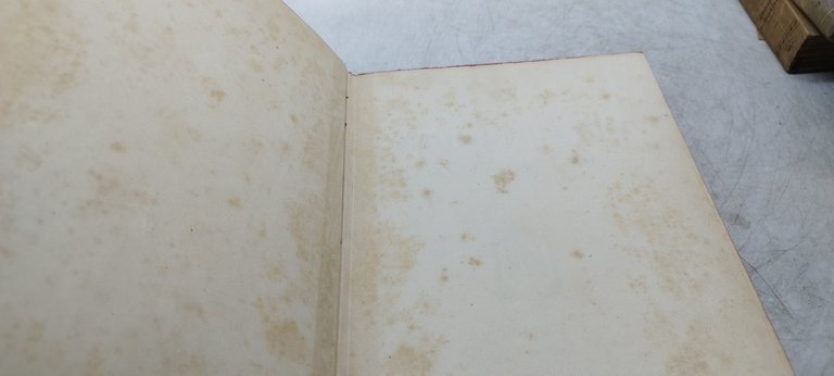 l'italia giovane parte maschile realtà e fantasia hoepli