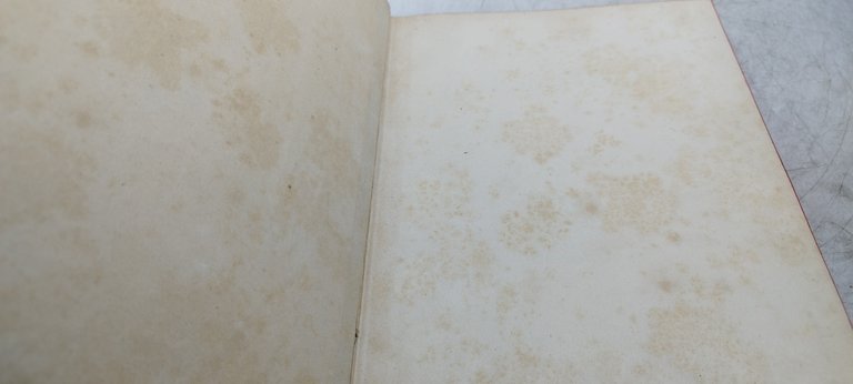 l'italia giovane passatempi istruttivi letture per giovinetti hoepli