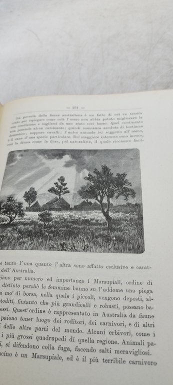 l'italia giovane passatempi istruttivi letture per giovinetti hoepli