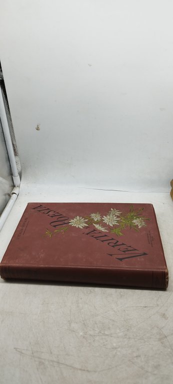 l'italia giovane verità poesia hoepli