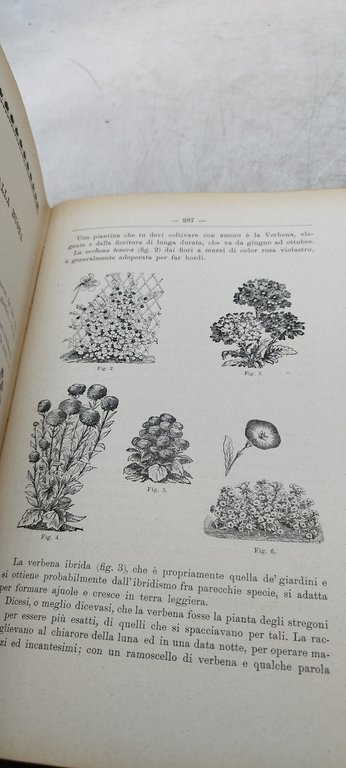 l'italia giovane verità poesia hoepli