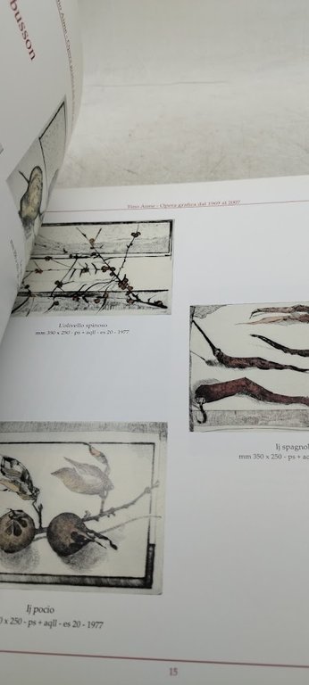 l'opera grafica 1969 2007