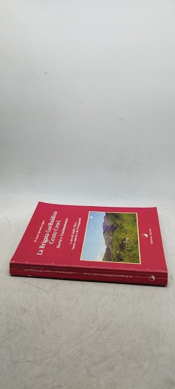 la brigata garibaldina cento croci