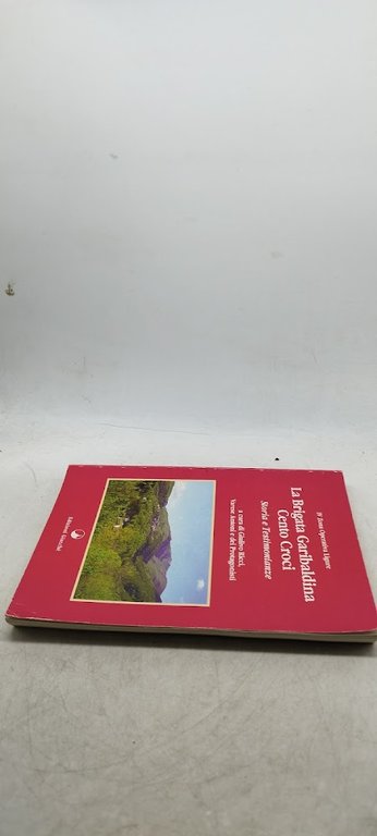 la brigata garibaldina cento croci