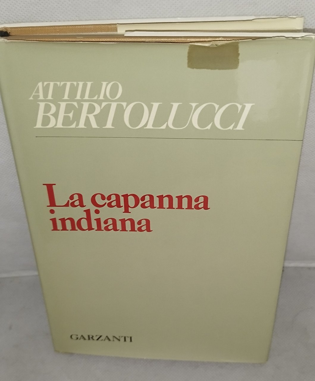 la capanna indiana attilio bertolucci garzanti | Immagine principale