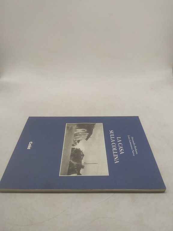 la casa sulla collina alessandra barbasio luisa lamonarca nervo