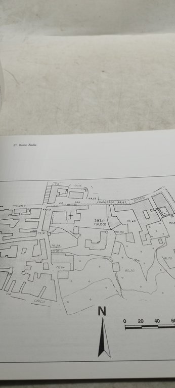 la città del leone il centro urbano di lentini dal …