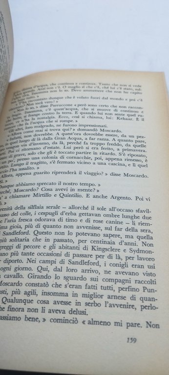 la collina dei conigli richard adams