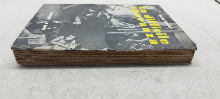 la difficile speranza carlo coccioli