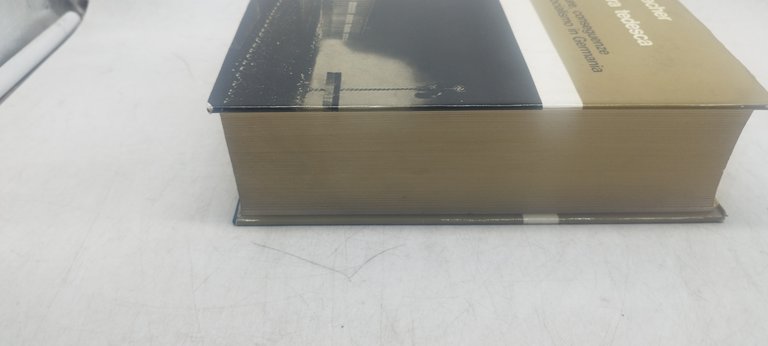 la dittatura tedesca karl d bracher il mulino