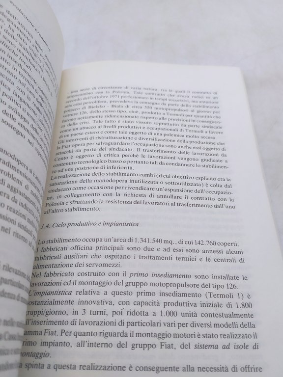 la fiat nel mezzogiorno l'esperienza degli stabilimenti automobilistici