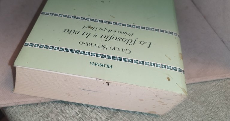 la filosofia e la vita prima e dopo hegel | Immagine Gallery 6