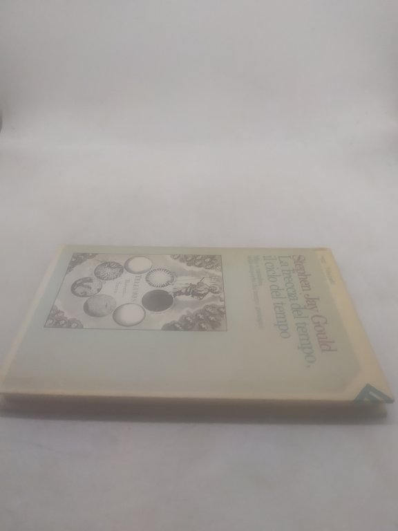 la freccia del tempo il ciclo del tempo