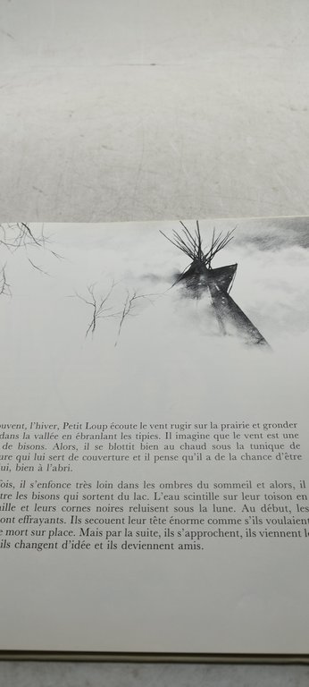 la grande legende des bisons