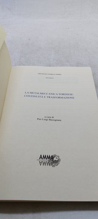 la metalmeccanica torinese continuità e trasformazione pier luigi bassignana
