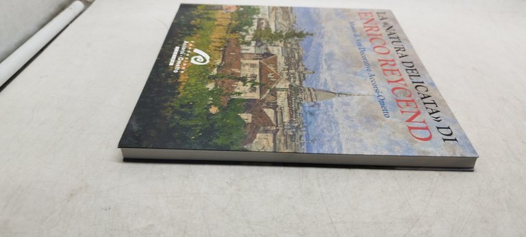 la natura delicata di enrico reycend museo di arti decorative …