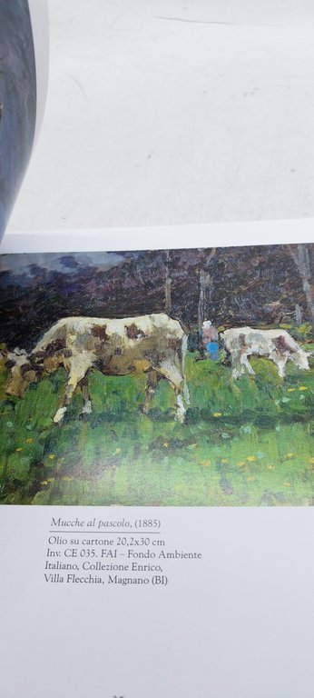 la natura delicata di enrico reycend museo di arti decorative …