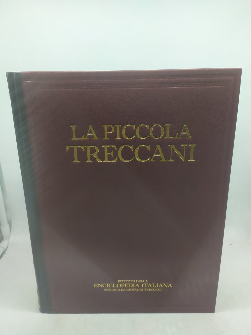 la piccola treccani 12 volumi istituto della enciclopedia italiana 1995