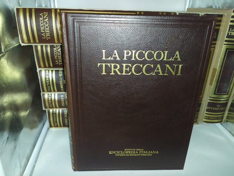 la piccola treccani dizionario enciclopedico, +supplemento 1995-1996-1997-2002-2008-2009-2011