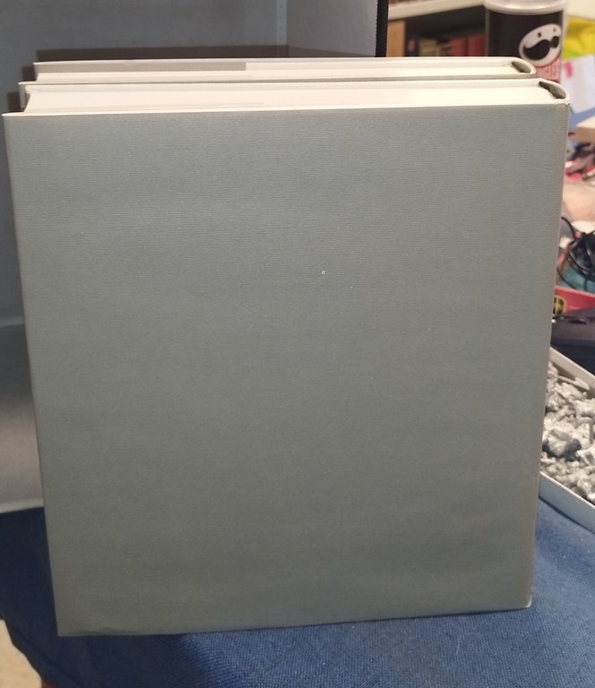 la pittura in italia il cincquecento electa 2 volumi