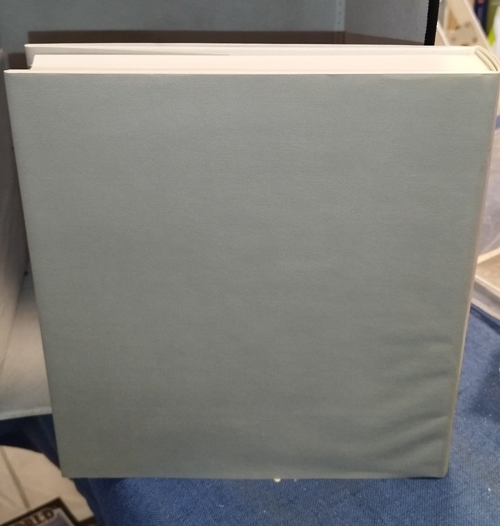 la pittura in italia l'altomedioevo electa