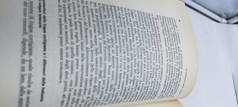 la questione della lingua maurizio vitale