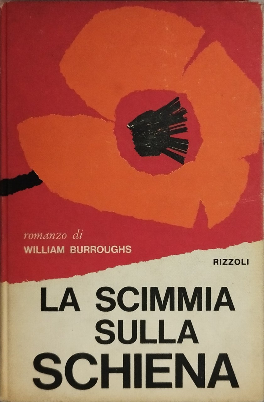 la scimmia sulla schiena | Immagine principale