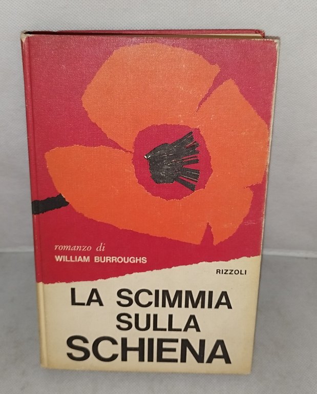 la scimmia sulla schiena | Immagine Gallery 2