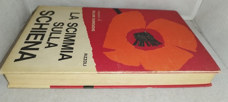 la scimmia sulla schiena | Immagine Gallery 4