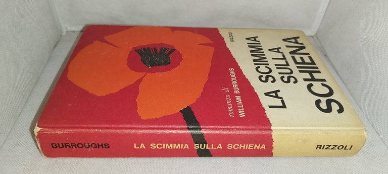 la scimmia sulla schiena | Immagine Gallery 5