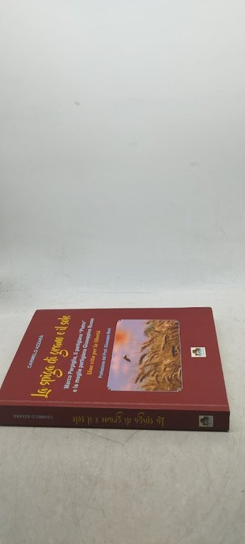 la spiga di grano e il sole