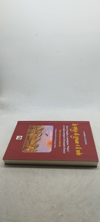 la spiga di grano e il sole