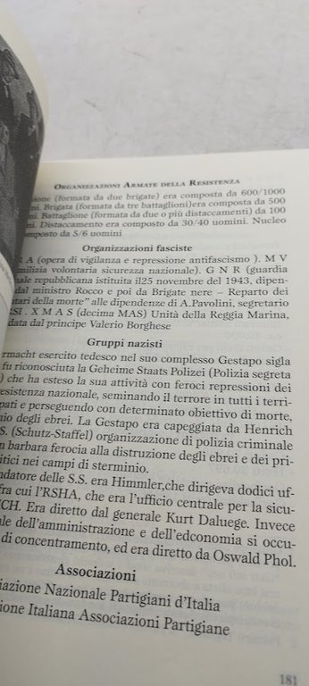 la spiga di grano e il sole