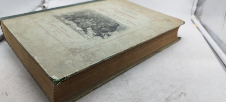 la storia naturale illustrata i mammiferi descritti e figurati c. …