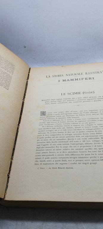 la storia naturale illustrata i mammiferi descritti e figurati c. …