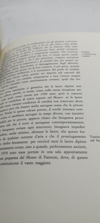 la tomba del tuffatore la scoperta della grande pittura greca
