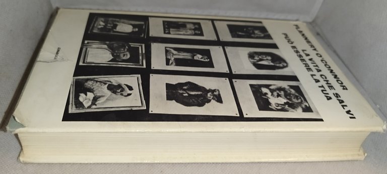 la vita che salvi può essere la tua | Immagine Gallery 4