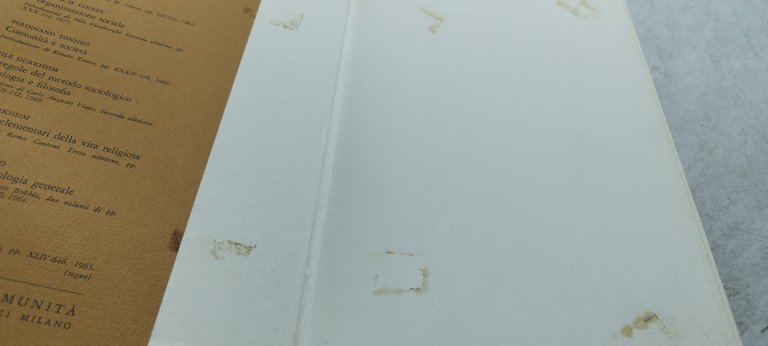 le forme elementari della vita religiosa