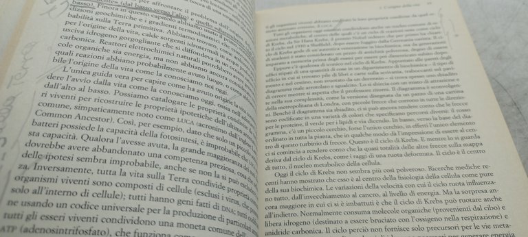 le invenzioni della vita le dieci grandi tappe dell'evoluzione
