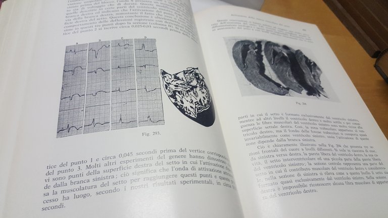 le nuove basi della elettrocardiografia piccin editore