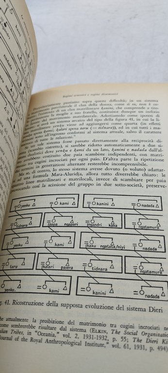 le strutture elementari della parentela