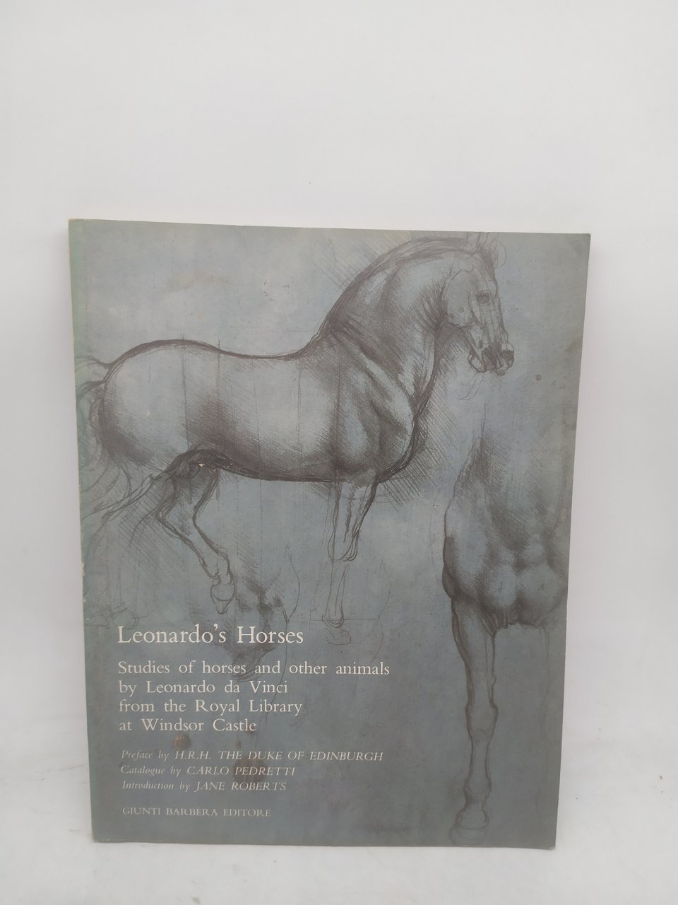 leonardo's horses florence palazzo vecchio 1984