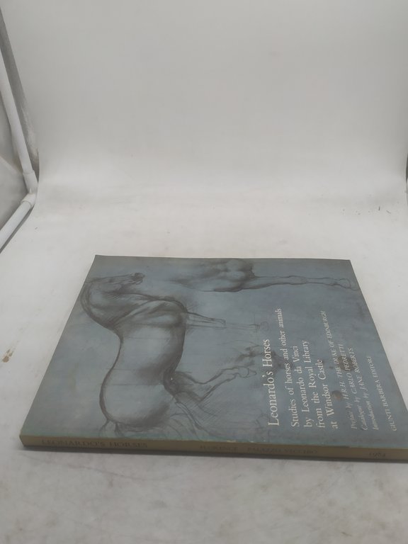 leonardo's horses florence palazzo vecchio 1984