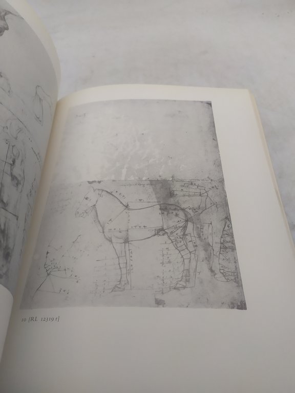 leonardo's horses florence palazzo vecchio 1984