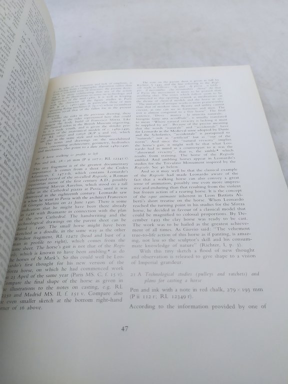 leonardo's horses florence palazzo vecchio 1984
