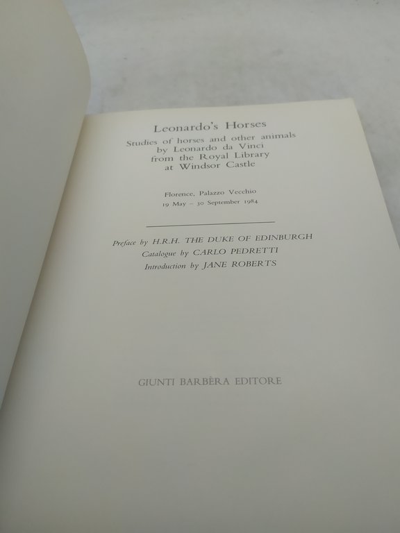 leonardo's horses florence palazzo vecchio 1984