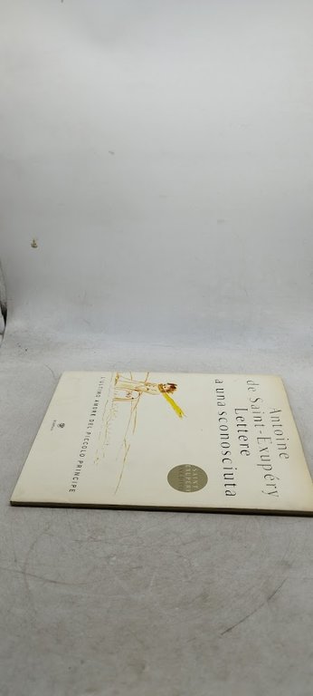 lettere a una sconosciuta l'ultimo amore del piccolo principe