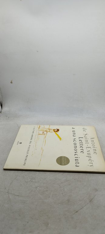 lettere a una sconosciuta l'ultimo amore del piccolo principe
