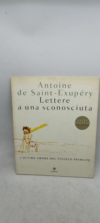 lettere a una sconosciuta l'ultimo amore del piccolo principe