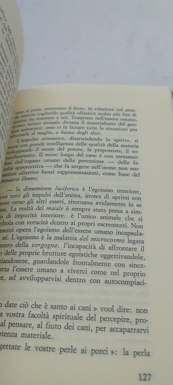 lettura esoterica dei vangeli